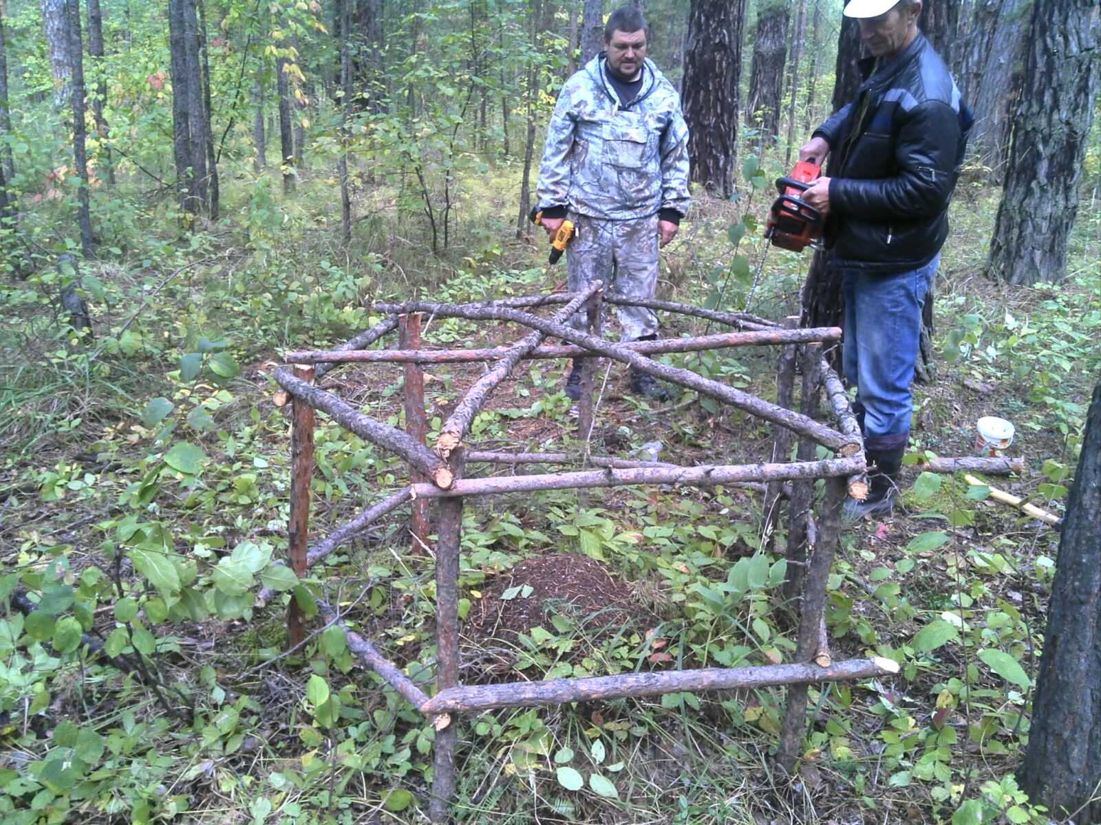 Организация школьного лесничества.

		гудо "эколого-биологический центр детей и молодёжи смолевичского района"