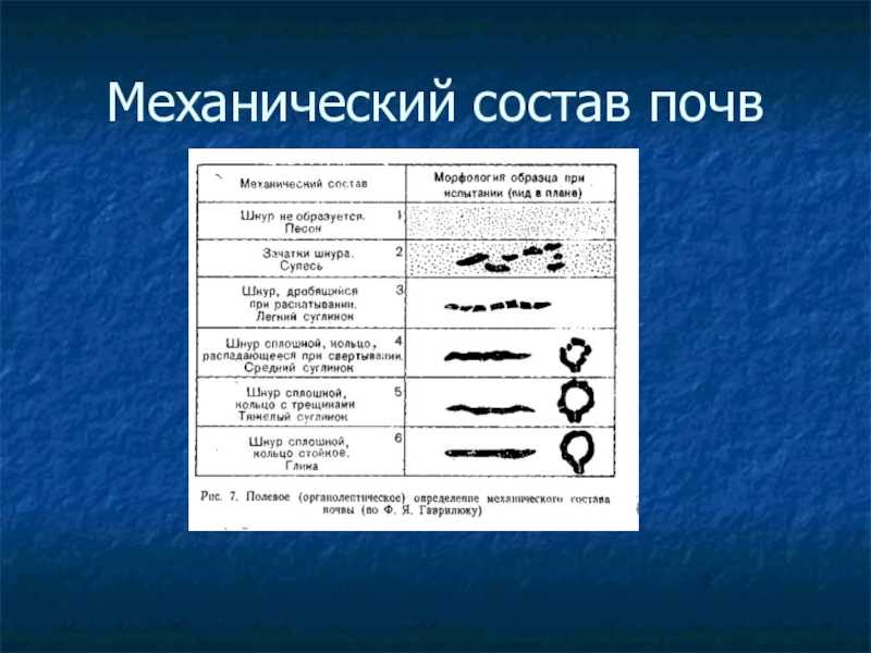 Механический состав почвы