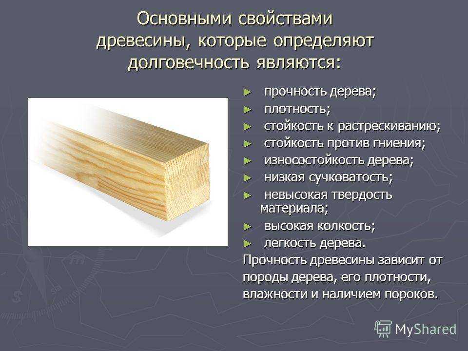 Строение дерева. от клеток до корней