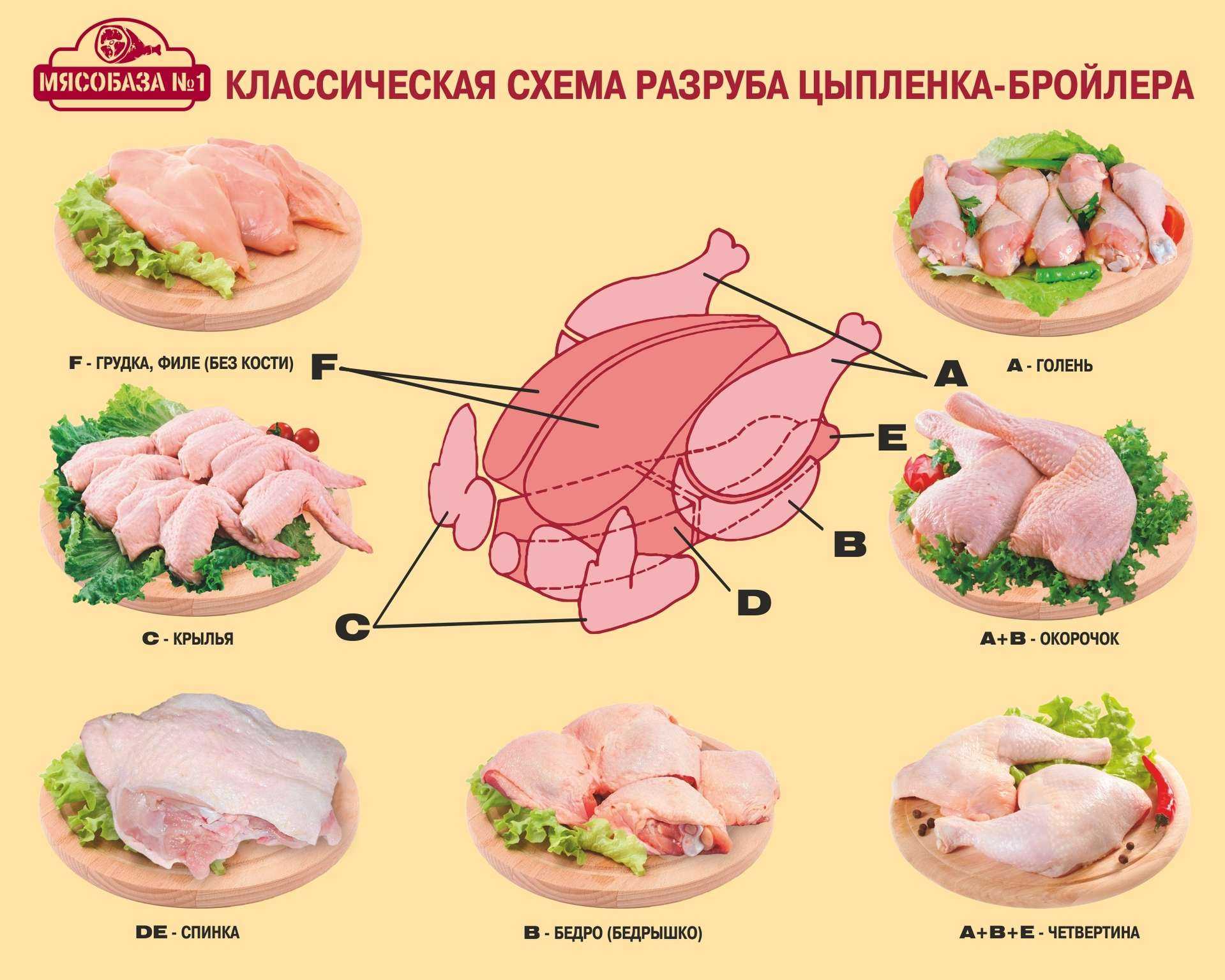 Птица это мясо или нет - красота и здоровье почему птица это не мясо шкаф в стене в ванной как подобрать пяльца для вышивки по размеру