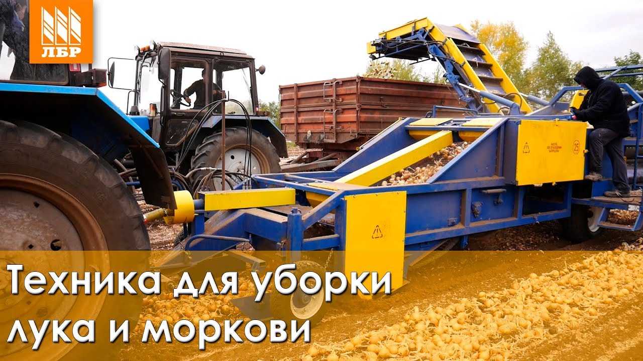 Механизированная технология возделывания и уборки лука