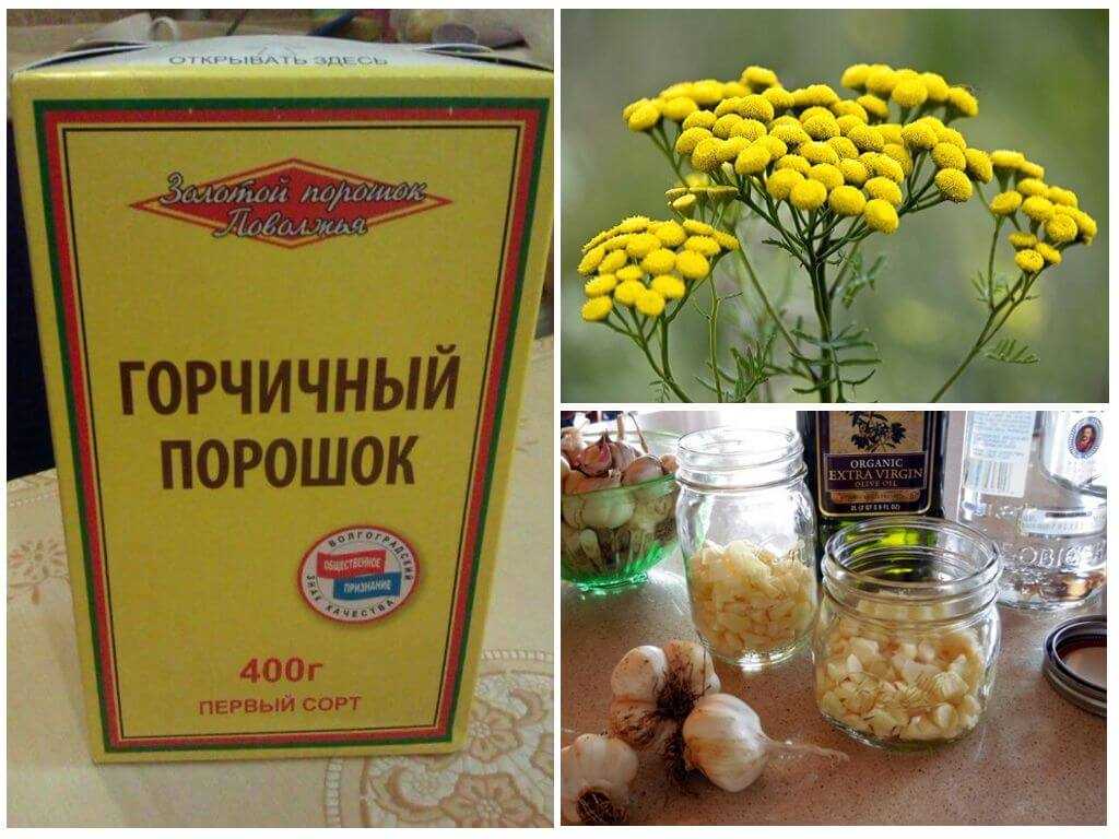 Горчица в огороде: как применять от вредителей
