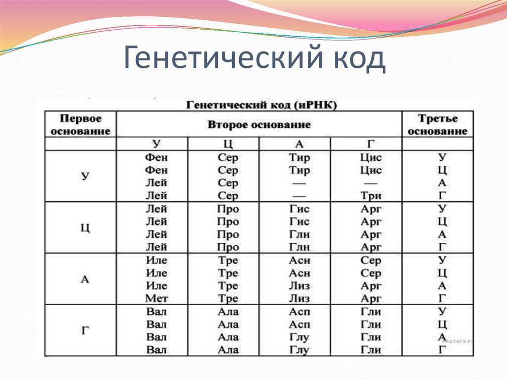 32. клетка как биологическая система
                                читать 0 мин.
