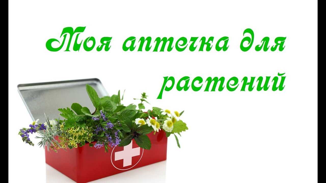 10. человек знакомится с вирусами
