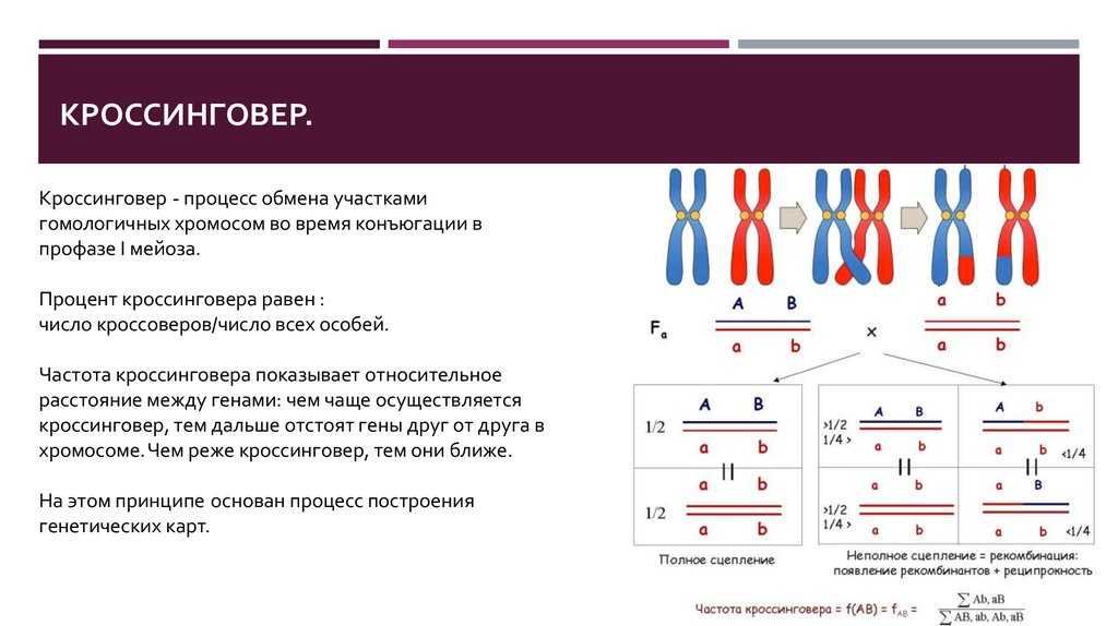 Генетический определитель пола у птиц: новые достижения и перспективы