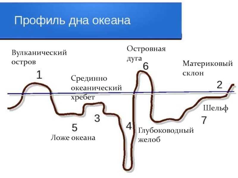 Рельеф суши и дна океана