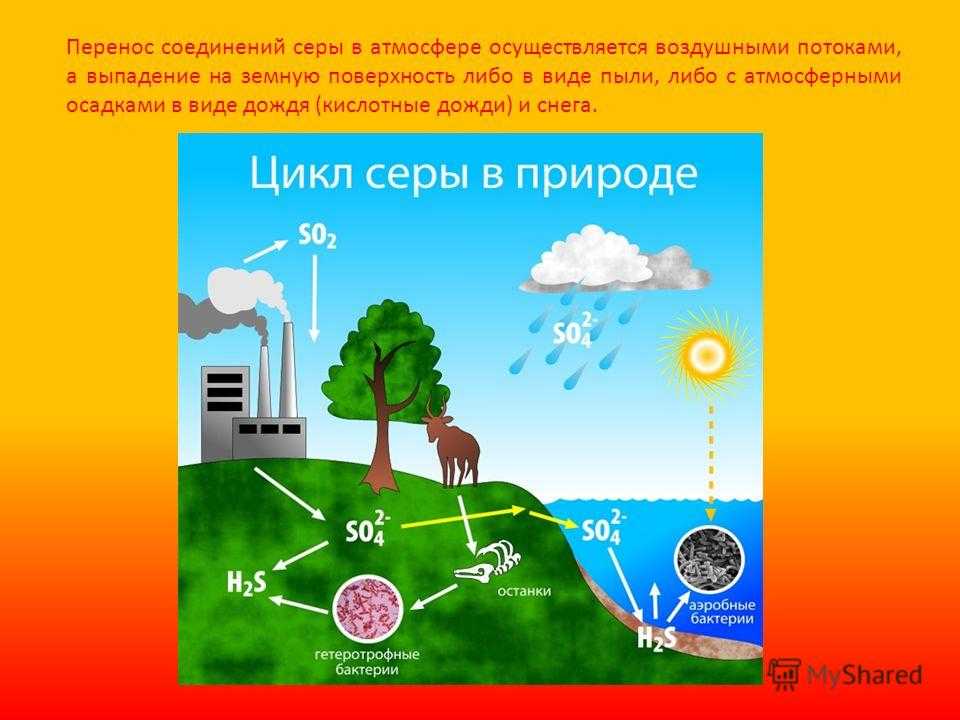 Презентация на тему "круговорот серы и фосфора" по химии