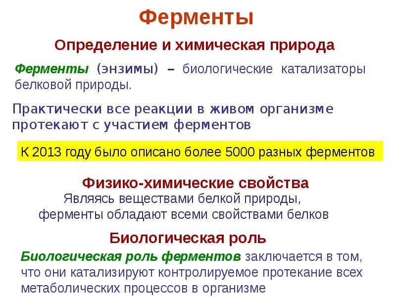 Ферменты