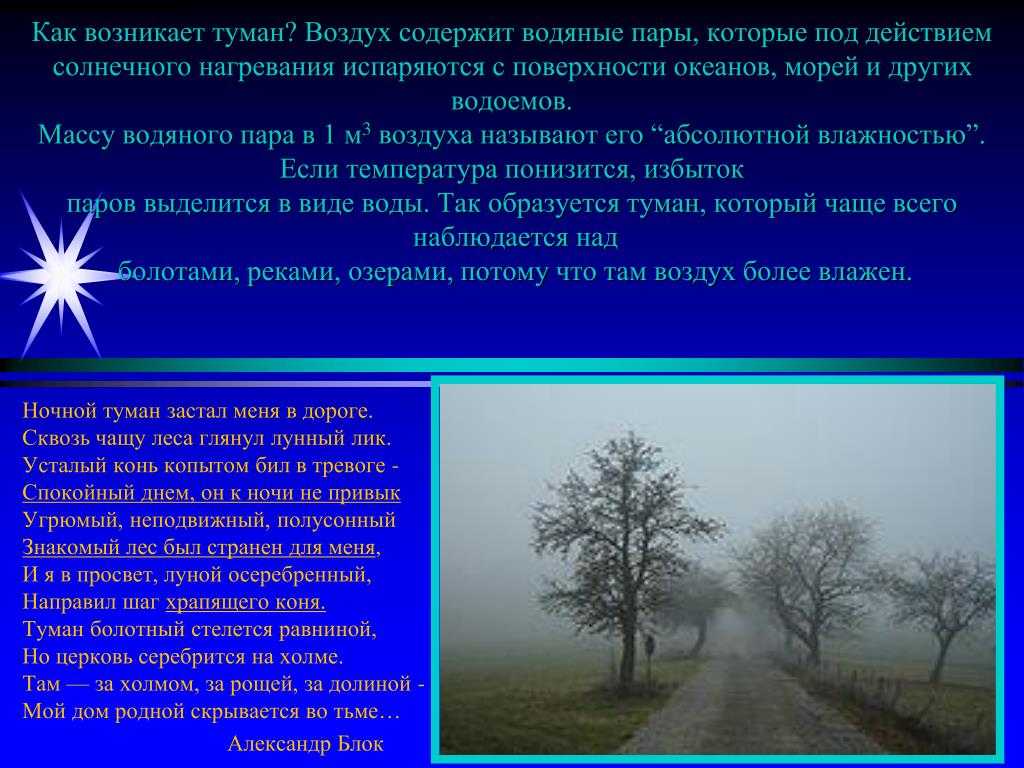 Тема 2. город как урбоэкосистема