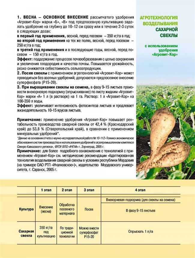 Удобрения для свеклы - виды и сроки их внесения