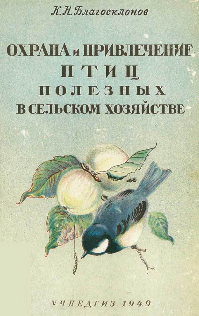 Как привлечь птиц в свой сад