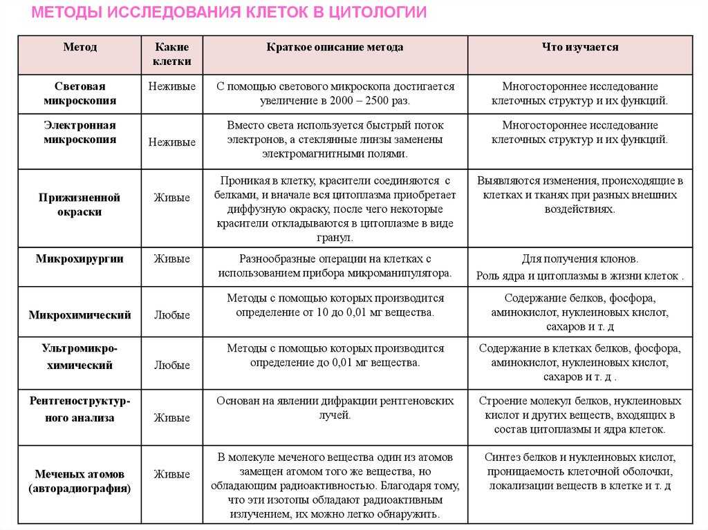 Урок 4: цитология - 100urokov.ru