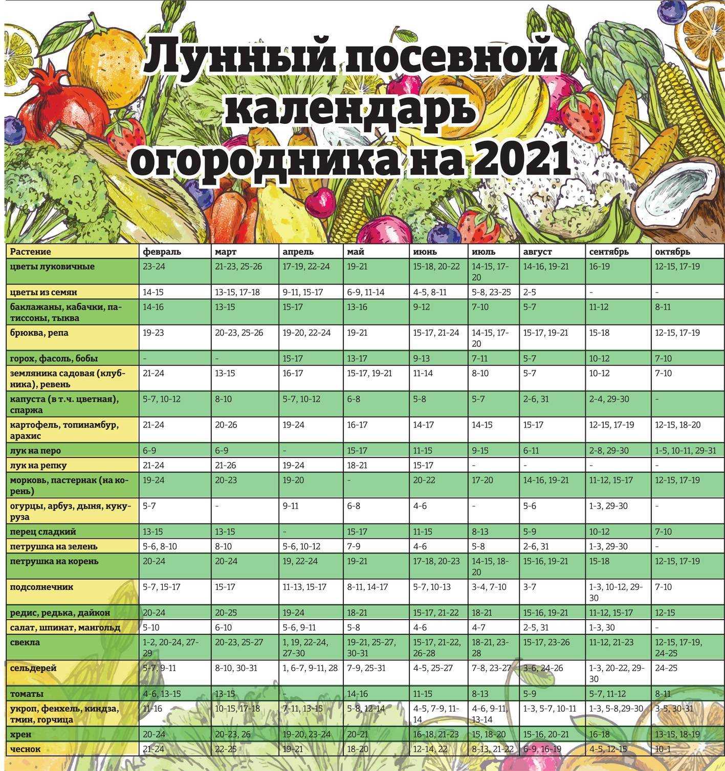 Овес как сидерат: характеристики, ценность, когда сеять
