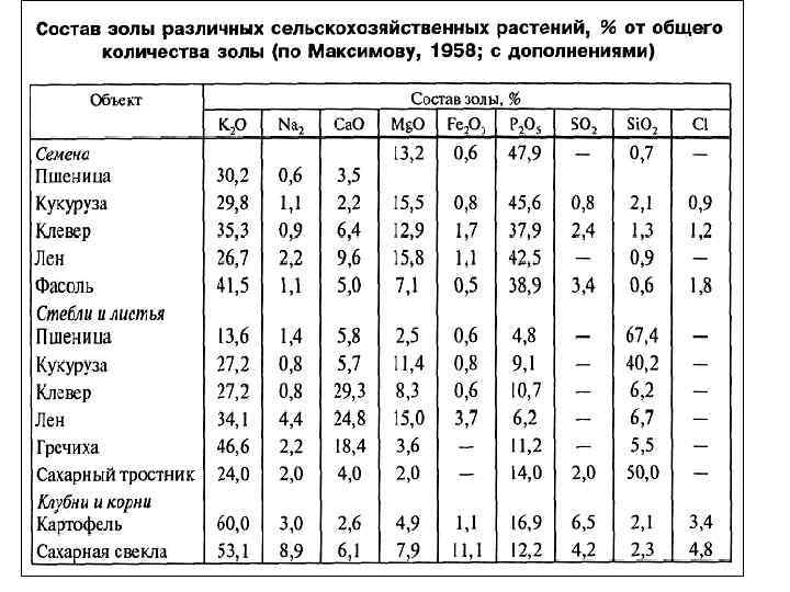 Что такое гумус, определение понятия