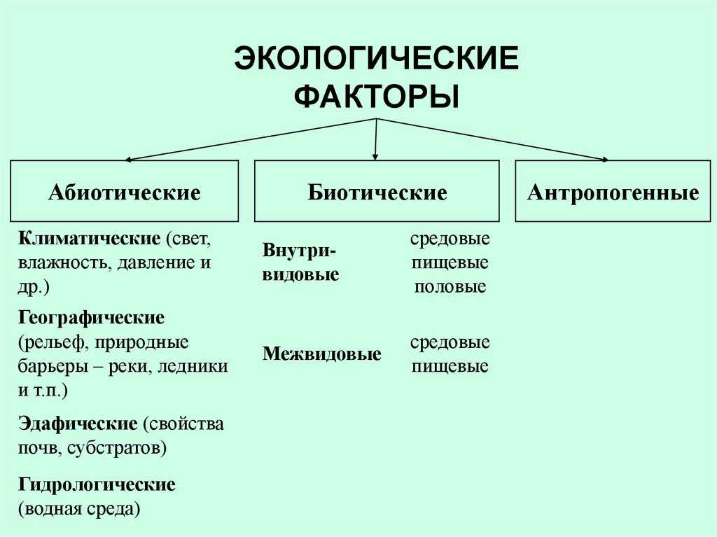 Основные факторы формирования климата