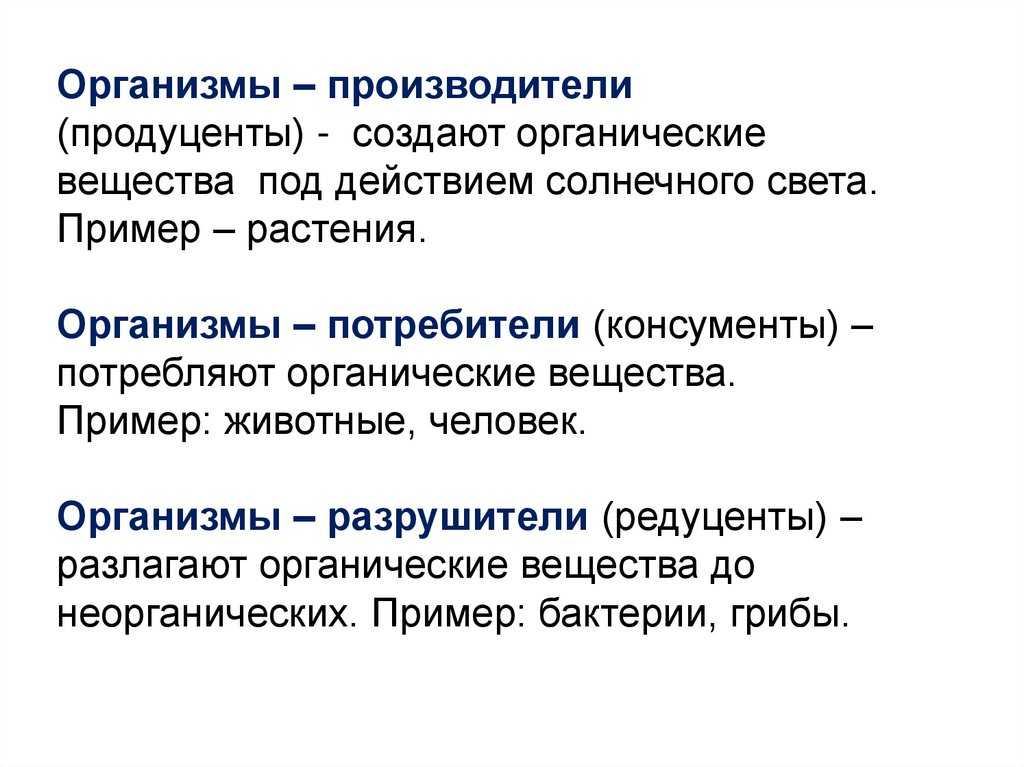 § 47. биомасса и продуктивность экосистем