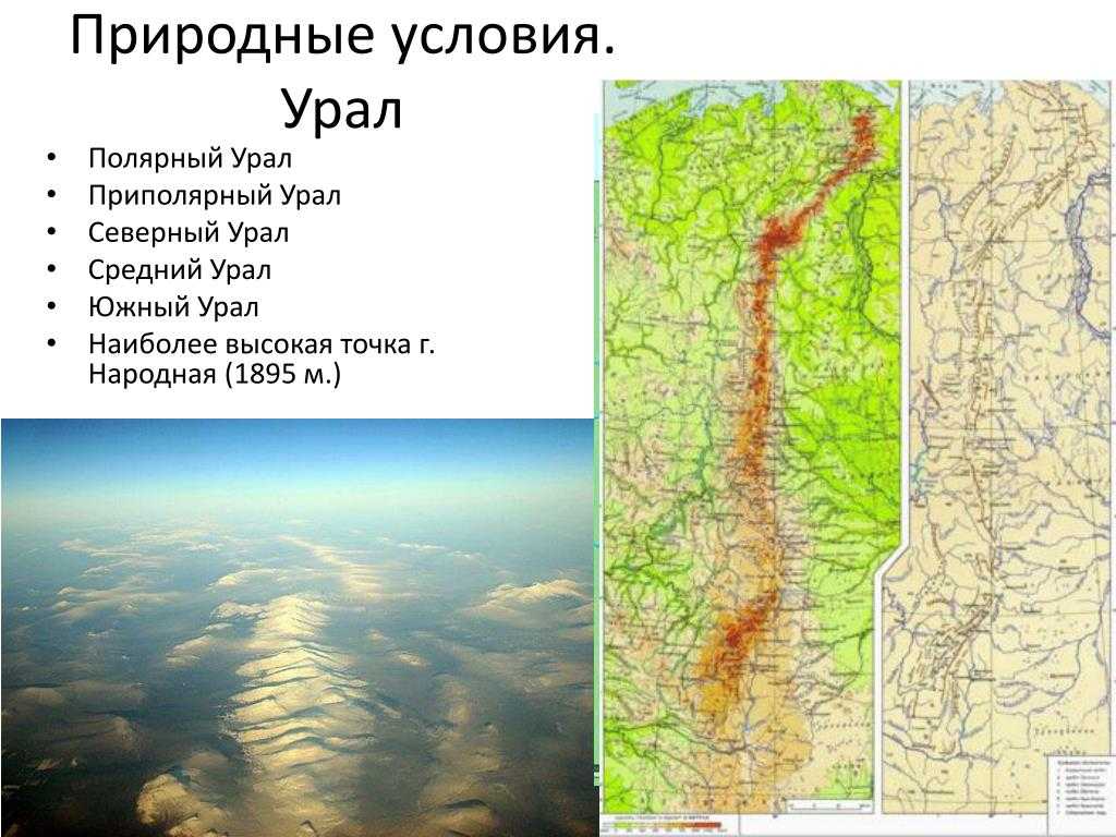 Природные зоны урала - особенности и разнообразие климата, флоры и фауны