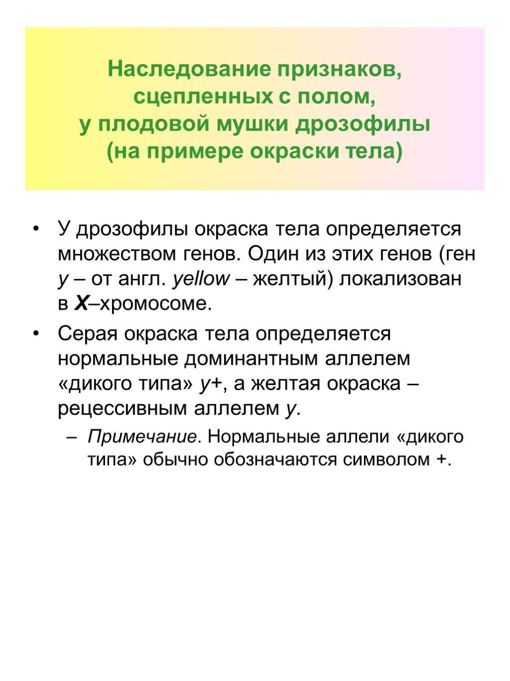 Презентация на тему: "лекция 10 тема: «генетика пола» план лекции 1. генетические теории определения пола -хромосомная теория -балансовая теория 2. определение пола у растений.". скачать бесплатно и без регистрации.