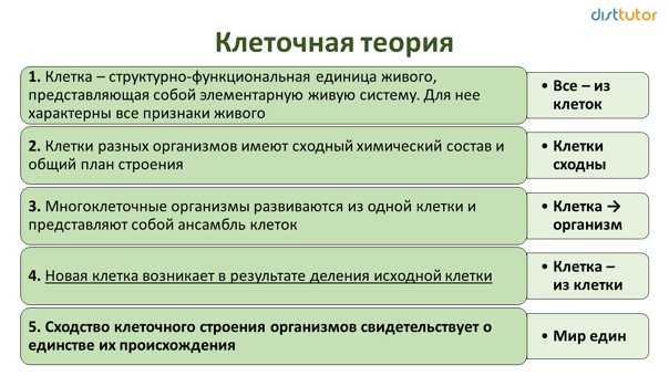 32. клетка как биологическая система
                                читать 0 мин.