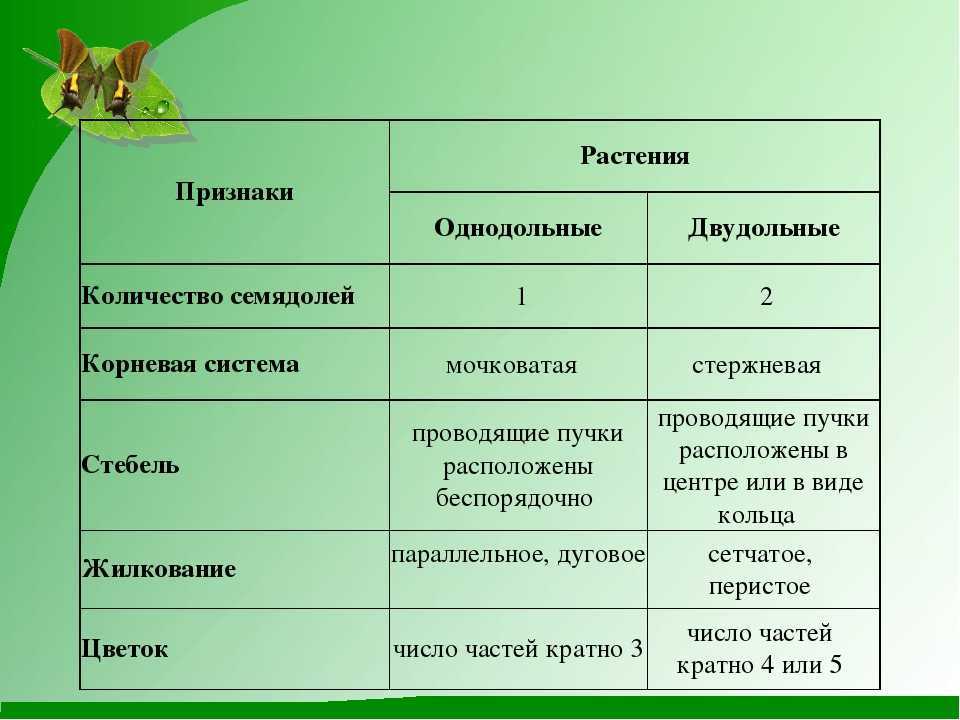 Пропаренный рис: польза и вред для здоровья | питание и наука
