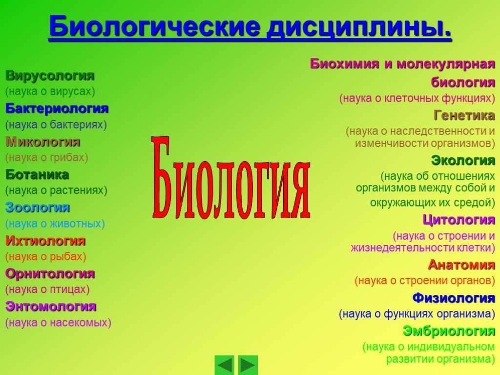 Курсы