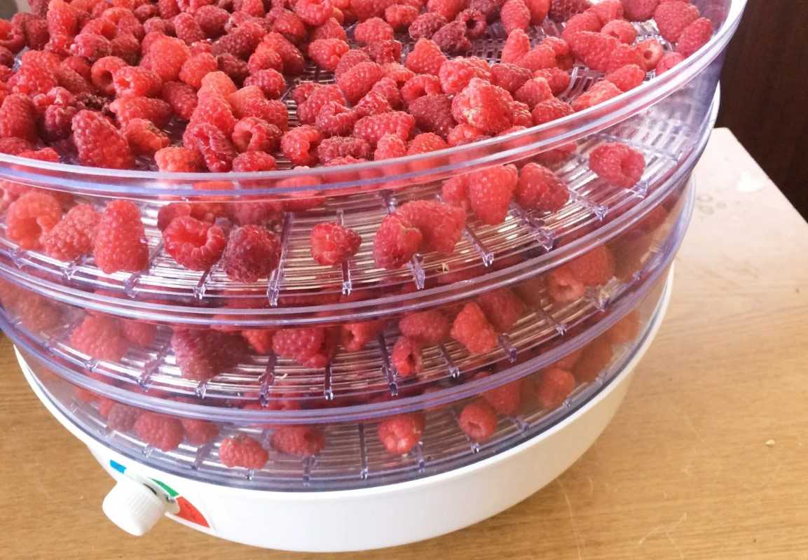 Как сушить фрукты и ягоды в домашних условиях