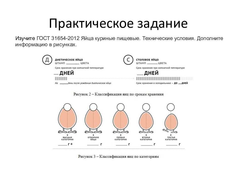 Механизация сбора, обработки и упаковки яиц