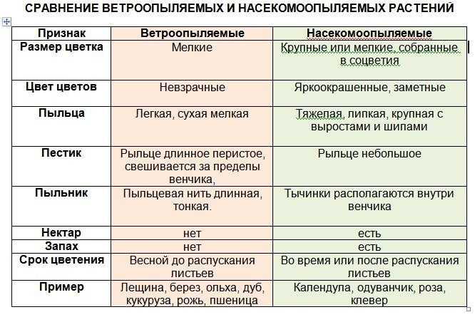 Селекция растений — конспект (часть 1) | возрождение лесов & биоразнообразие