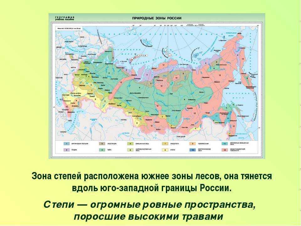 Сравнительный ботанико-географический анализ луговых степей лесостепных ландшафтов ставропольской и восточной части среднерусской возвышенностей   прощайло татьяна анатольевна