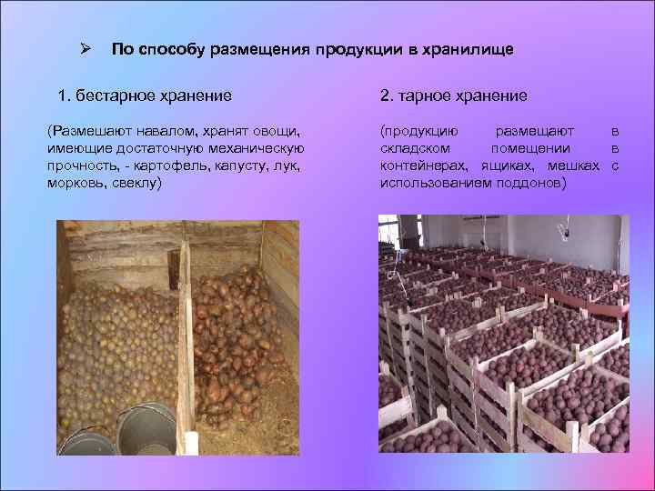 Срок хранения картофеля: условия хранения и параметры годности, сколько максимально можно держать картошку в мешке, как долго она остается свежей