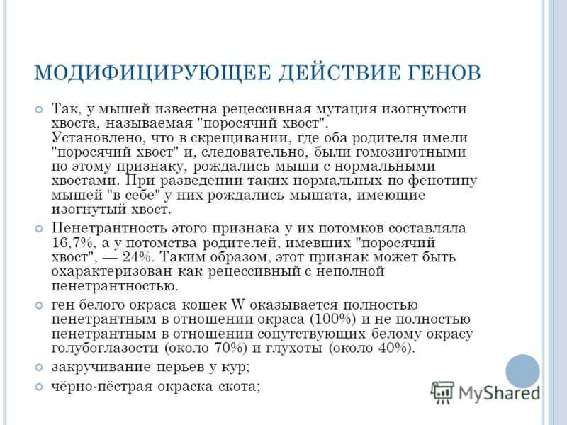 Гены-модификаторы | fordoctor