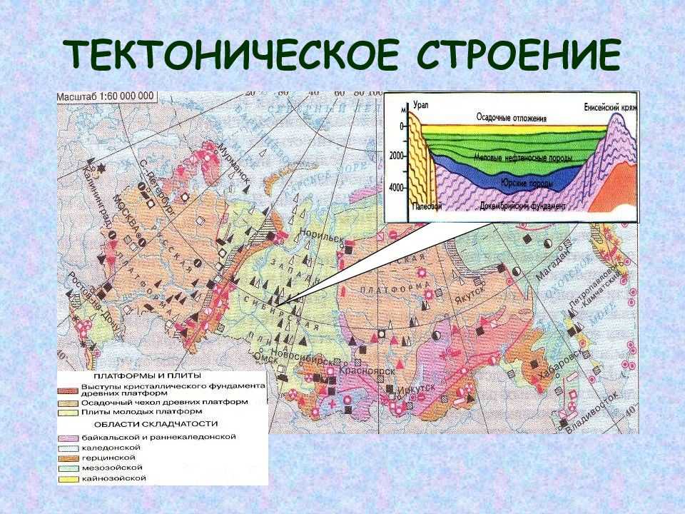 Западно-сибирская равнина — рувики