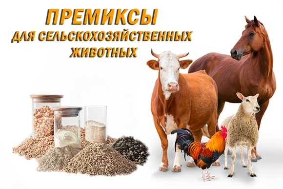 Качество премиксов. технологии производства и сроки хранения. премикс это что такое.