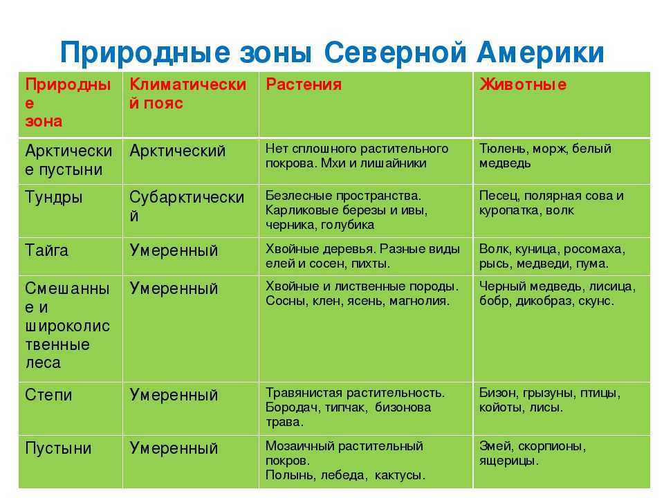 Морские биомы: характеристики, типы, флора, фауна - наука - 2023
