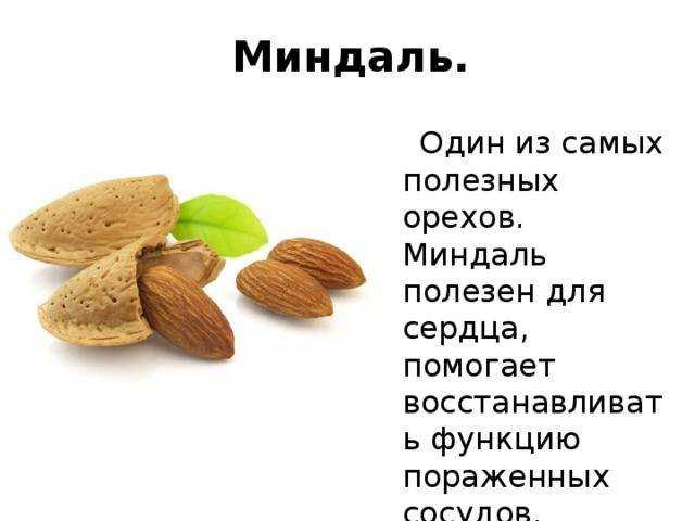 Миндаль в скорлупе фото, плоды миндального дерева, миндаль из какого фрукта, виды миндаля, сорта миндаля