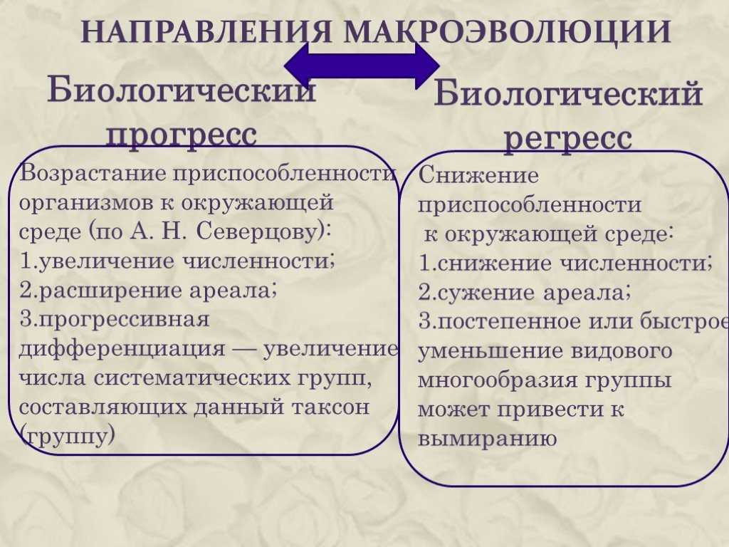 Эволюционная экология