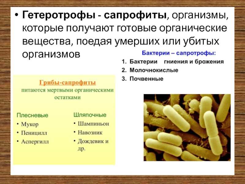 Тип питания