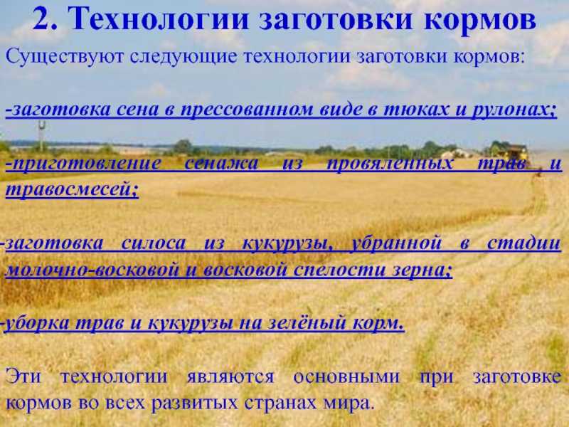 Машины для уборки и заготовки сена: виды, применение, аренда