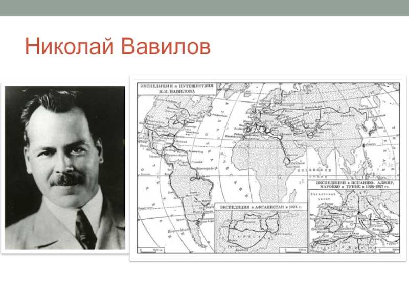 Вавилов, николай иванович — энциклопедия «знание.вики»