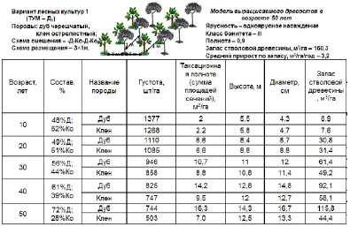 Какие сроки посадки и дополнения лесных культур