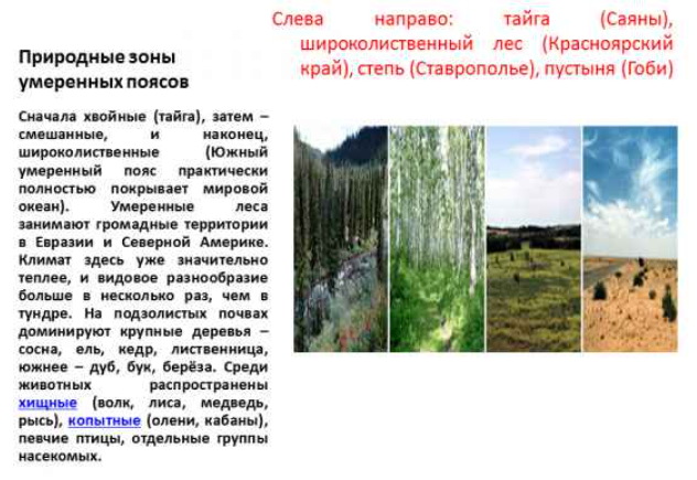 Природная зона умеренного пояса, какие особенности имеют умеренные широты