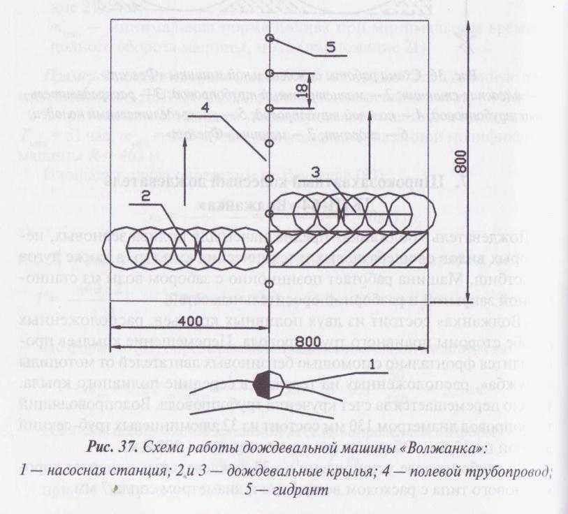 Режим орошения и техника для полива