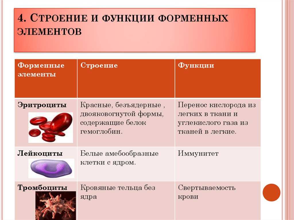 Кровь как внутренняя среда организма животных и ее функции. кровь животных. кровь как внутренняя среда организма животных и ее функции курсовая работа выполнена в рамках изучения дисциплины направление подготовки 35. 03. 04 агрономия