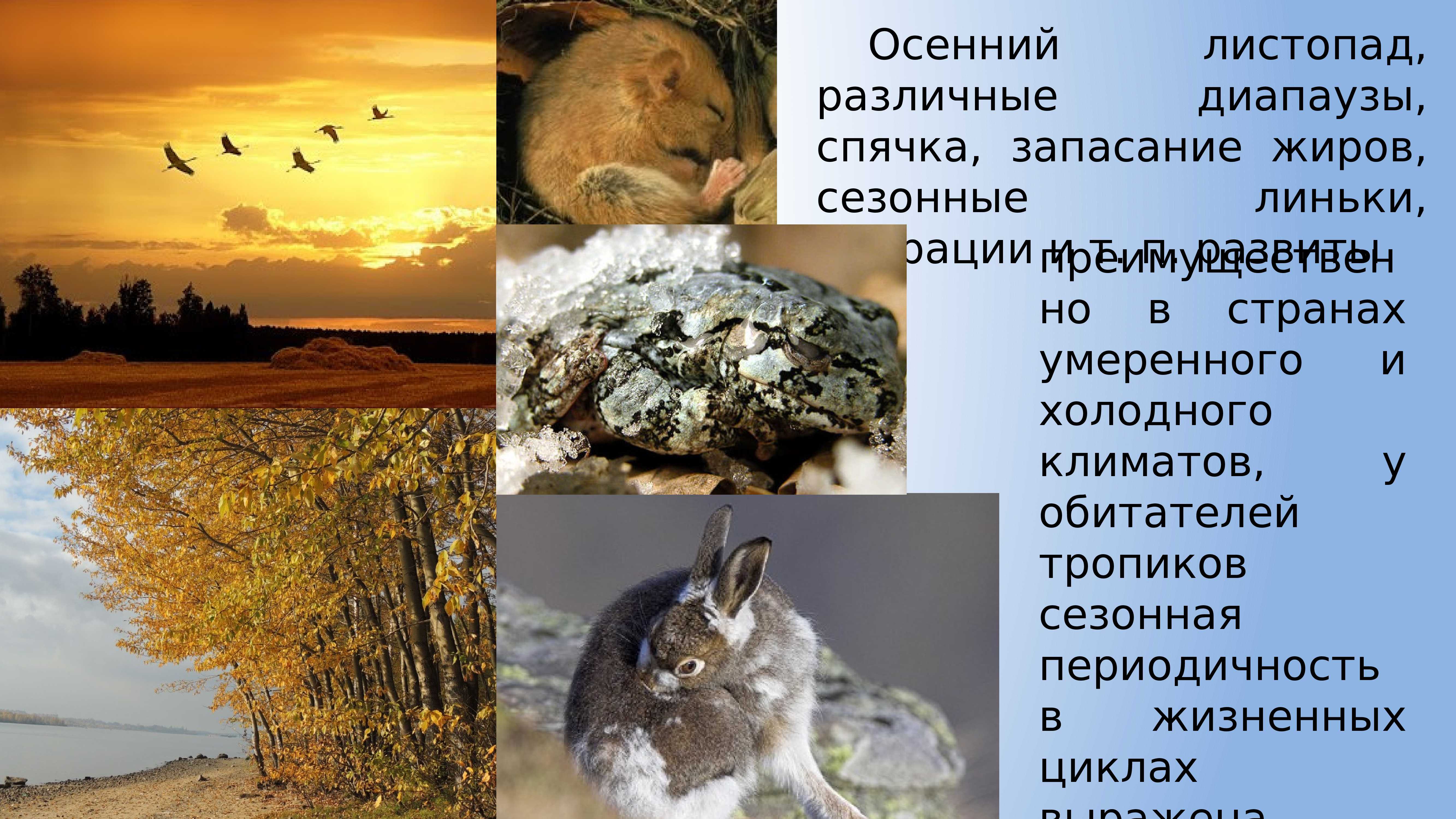 Что нужно знать о циркадном ритме
