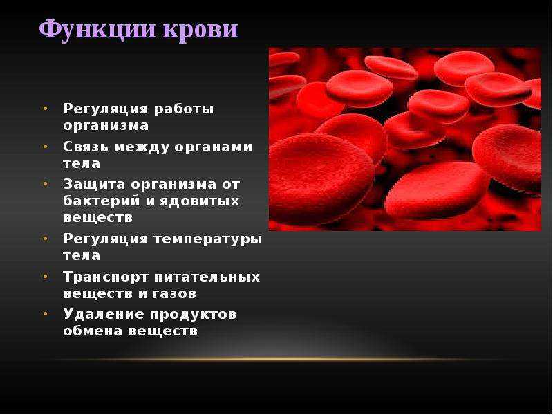 Кровь: история изучения, функции и состав | университетская клиника