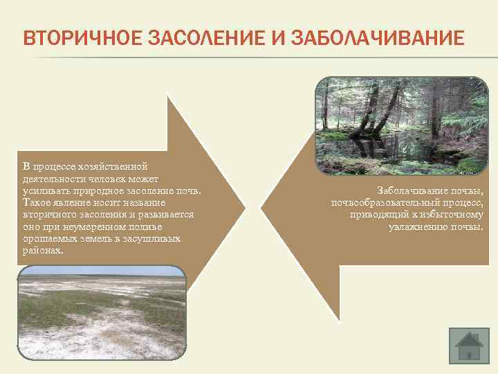 Засоление почв виды засоления