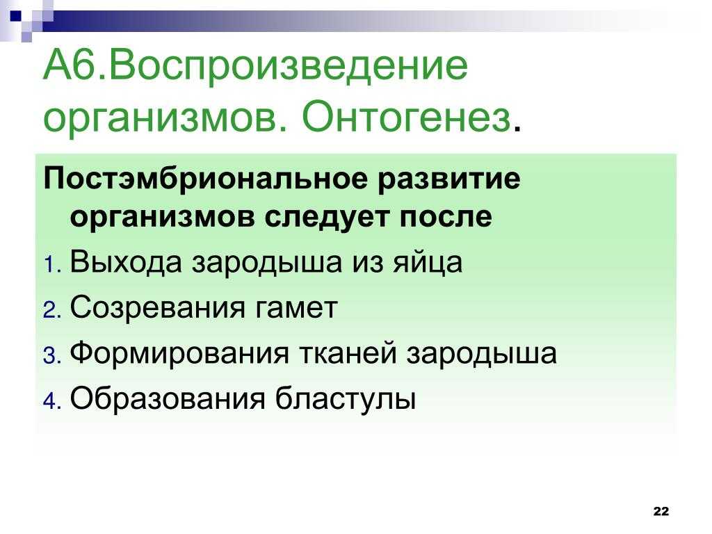 Презентация на тему: "гаметогенез у растений учитель биологии мбоу сош 3 п акбулак оренбургской области мишнина лидия александровна.". скачать бесплатно и без регистрации.