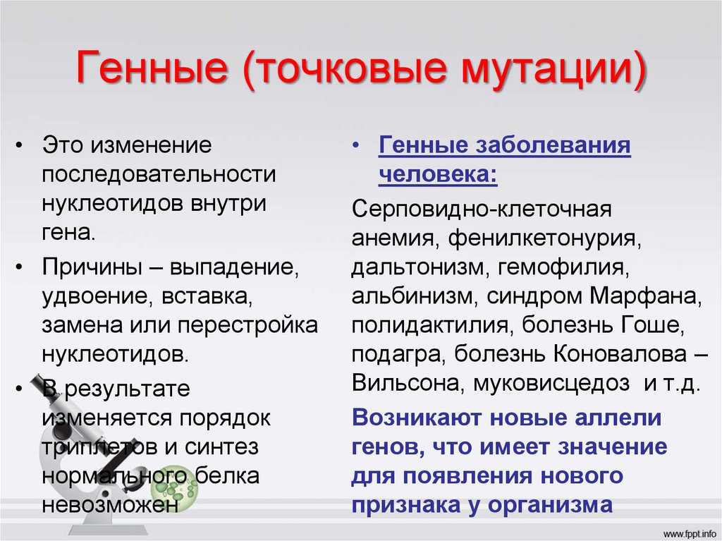 Рекомбинация — большая медицинская энциклопедия