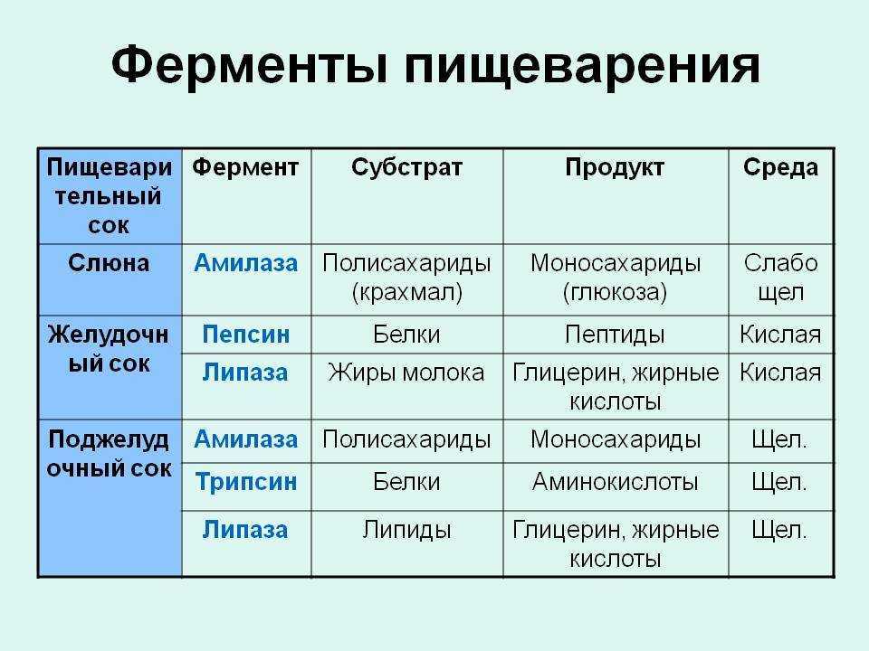 Классификация ферментов -  промышленная биотехнология
