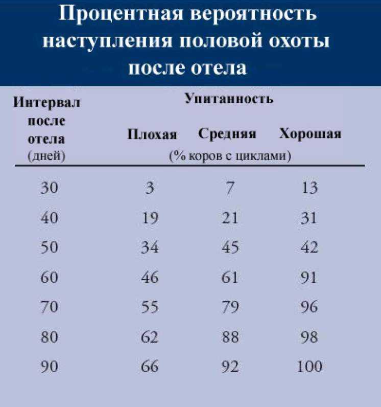 Искусственное осеменение — иностранный опыт